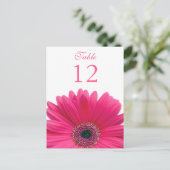 Pink Gerbera Daisy Table Number Card Postkarte (Stehend Vorderseite)