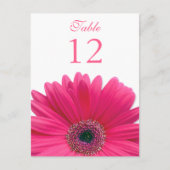 Pink Gerbera Daisy Table Number Card Postkarte (Vorderseite)