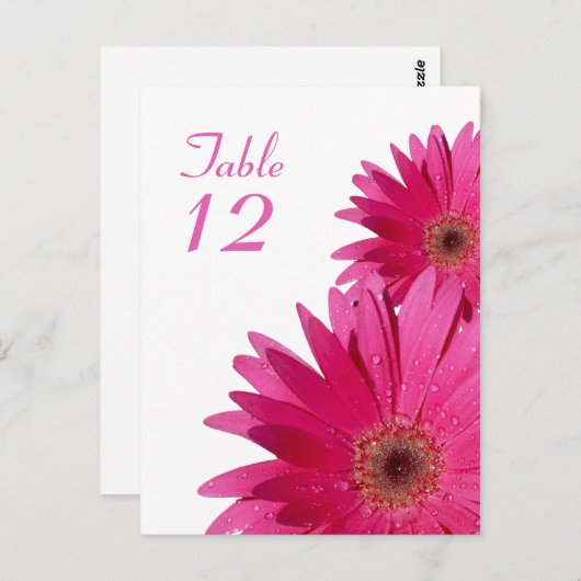 Pink Gerbera Daisy Table Number Card Postkarte (Vorne/Hinten)
