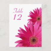 Pink Gerbera Daisy Table Number Card Postkarte (Vorderseite)