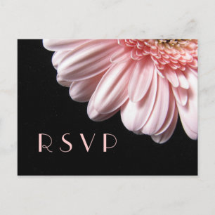 Pink Gerbera Daisy UAWG Postcard Einladungspostkarte