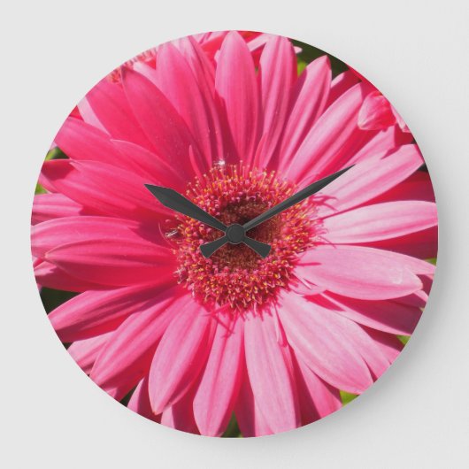 Pink Gerbera Daisy Wallclock Große Wanduhr (Vorderseite)