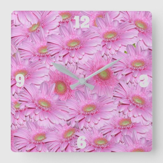 Pink Gerbera Flowers, Square Wall Clock Quadratische Wanduhr (Vorderseite)