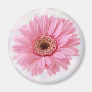 Pink Gerbera Kühlschrankmagnet