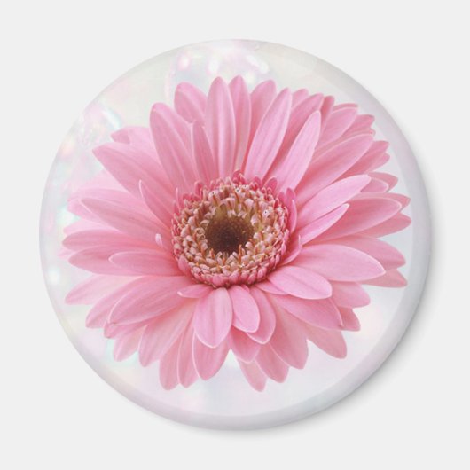 Pink Gerbera Kühlschrankmagnet (Vorne)