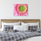 Pink Gerbera Leinwanddruck (Insitu (Schlafzimmer))