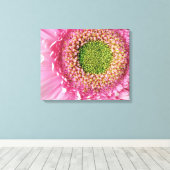 Pink Gerbera Leinwanddruck (Insitu (Holzboden))