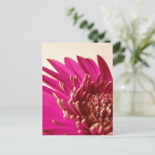 Pink Gerbera Postcard Postkarte (Stehend Vorderseite)