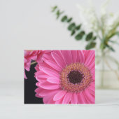 Pink Gerbera Postkarte (Stehend Vorderseite)