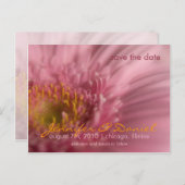 Pink Gerbera Save the Date Postcard Ankündigungspostkarte (Vorne/Hinten)