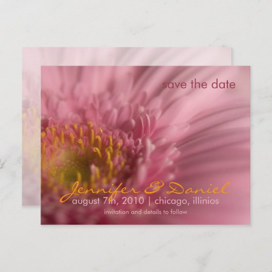 Pink Gerbera Save the Date Postcard Ankündigungspostkarte (Vorne/Hinten)