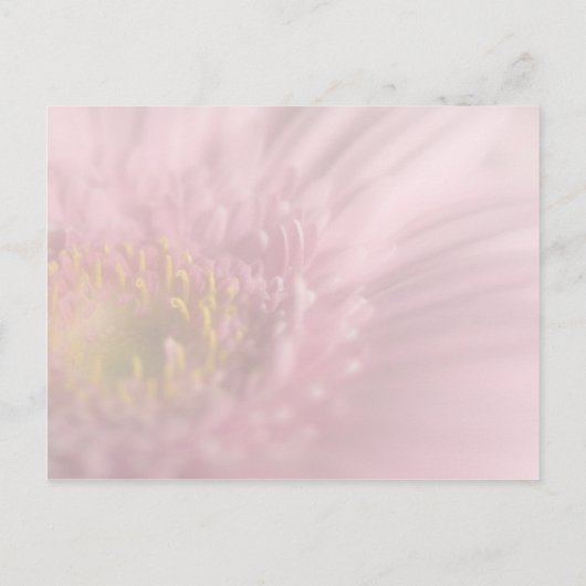 Pink Gerbera Save the Date Postcard Ankündigungspostkarte (Rückseite)