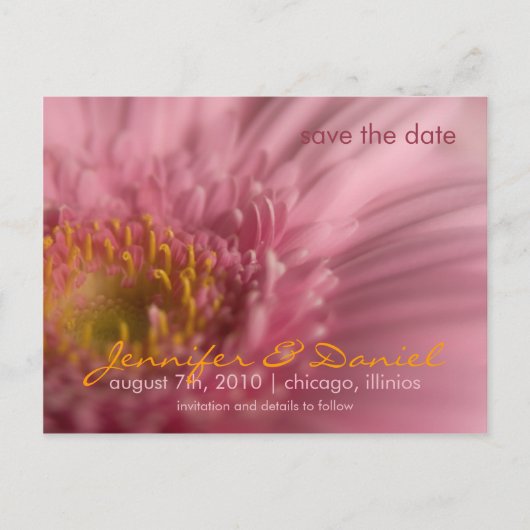Pink Gerbera Save the Date Postcard Ankündigungspostkarte (Vorderseite)