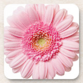 Pink Gerbery Daisy Untersetzer (Vorderseite)