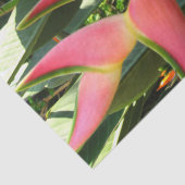 Pink Ginger Heliconia Tissue Paper Seidenpapier (Detail)