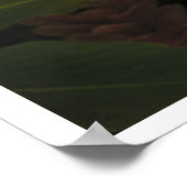 Pink Ginger No Maryan Tropical Poster Print (Ecke)