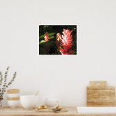 Pink Ginger No Maryan Tropical Poster Print (Küche)