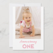 Pink Gingham Bunting Foto Picnic 1. Geburtstag Einladung (Rückseite)