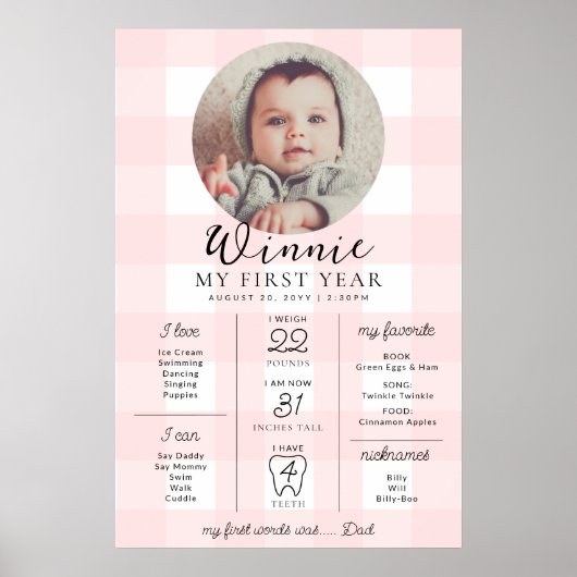 Pink Gingham First Birthday Milestone Timeline Poster (Vorne)