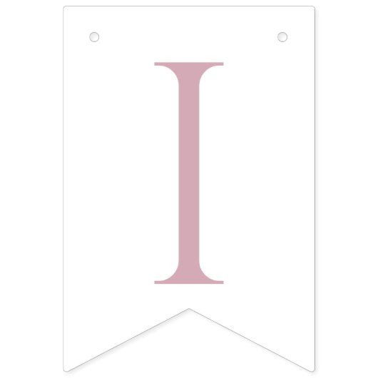 Pink Gingham Peter die Rabbit Monogram Baby Dusche Wimpelkette (Dritte Fahne)