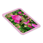 Pink Gingham Plaid Rose Garden Photo Magnet (Rechte Seite)