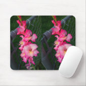 Pink Gladiola Blume Mousepad (Mit Mouse)