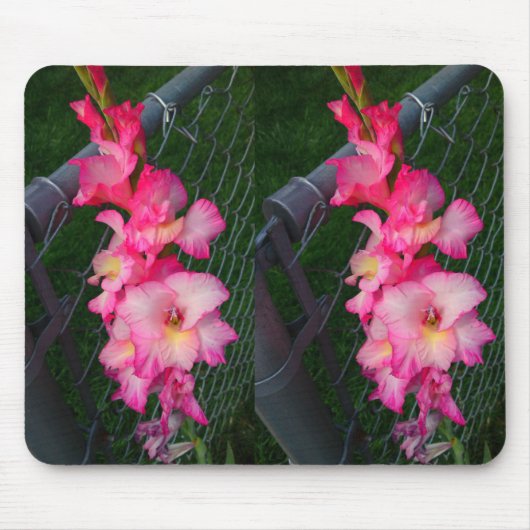 Pink Gladiola Blume Mousepad (Vorne)