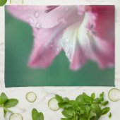 Pink Gladiolus Küchentücher (Gefaltet)