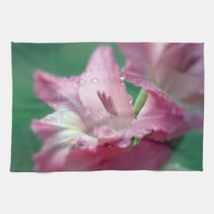 Pink Gladiolus Küchentücher
