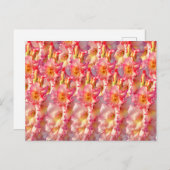 Pink Gladiolus Postkarte (Vorne/Hinten)
