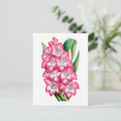 Pink Gladiolus Vintag Botanische Postkarte (Stehend Vorderseite)