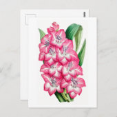 Pink Gladiolus Vintag Botanische Postkarte (Vorne/Hinten)
