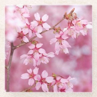 Pink Glass Coster Glasuntersetzer