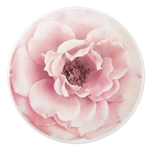 Pink & Gold Blumen Pfingstrose Blume Glamouröse be Keramikknauf