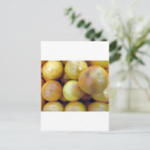 Pink Grapefruit Postkarte (Stehend Vorderseite)