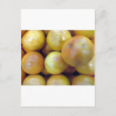 Pink Grapefruit Postkarte (Vorderseite)