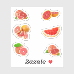 Pink Grapefruit Stickers Aufkleber