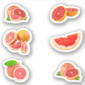 Pink Grapefruit Stickers Aufkleber (Vorderseite)
