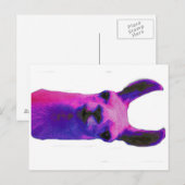 Pink Graphic Llama Postkarte (Vorne/Hinten)