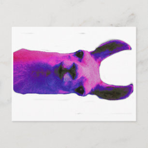 Pink Graphic Llama Postkarte