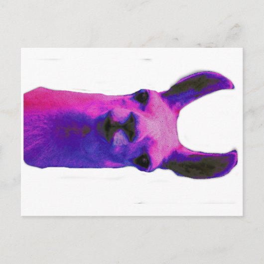 Pink Graphic Llama Postkarte (Vorderseite)