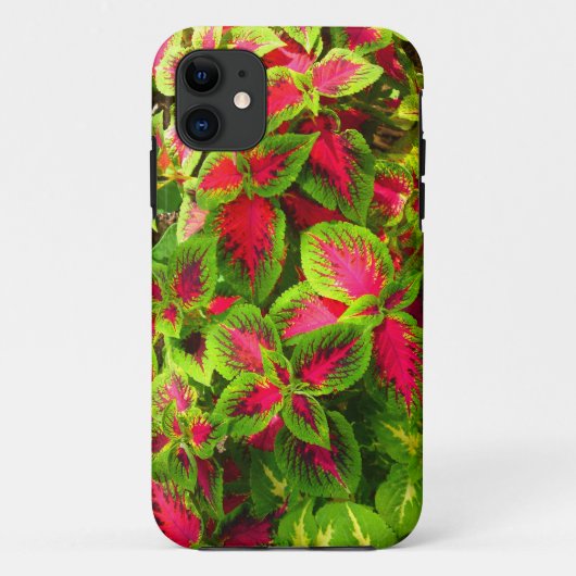 Pink Green Coleus Blumen Phone Case (Rückseite)