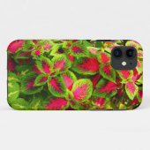 Pink Green Coleus Blumen Phone Case (Rückseite (Horizontal))