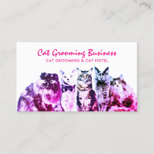 Pink Grooming Salon Wellness-Center Katzen Visitenkarte