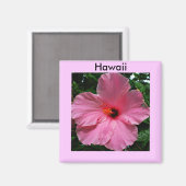 Pink Hawaiian Hibiskus Magnet (Vorderseite/Rückseite)