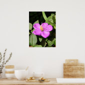 Pink Hawaiian Plumeria Poster (Küche)
