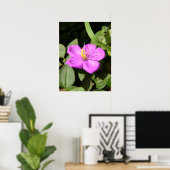 Pink Hawaiian Plumeria Poster (Heimbüro)