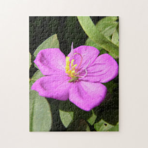 Pink Hawaiian Plumeria Poster Imitate Canvas Print Puzzle