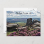 Pink Heather and Stone Postkarte (Vorne/Hinten)