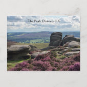 Pink Heather and Stone Postkarte (Vorderseite)